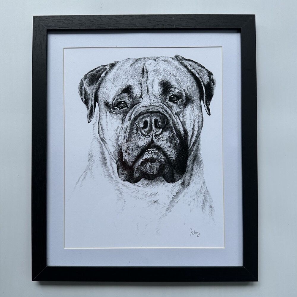 Vintage Bullmastiff Hand Signed Print Framed Roger Pidney Davidson Dog Art